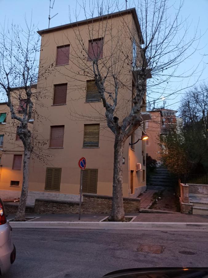 Apartment Casa Via Dei Platani